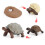 (Elephant Turtle)Simulation Solid Turtle Chick Frog Animal Growth Cycle Montessori Teaching Aids 1