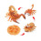 (Scorpion1)Simulation Solid Turtle Chick Frog Animal Growth Cycle Montessori Teaching Aids 1