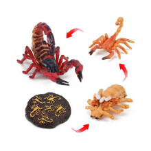 (Scorpion2)Simulation Solid Turtle Chick Frog Animal Growth Cycle Montessori Teaching Aids