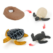 (Sea Turtle4)Simulation Solid Turtle Chick Frog Animal Growth Cycle Montessori Teaching Aids