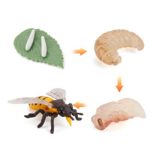(Bees)Simulation Solid Turtle Chick Frog Animal Growth Cycle Montessori Teaching Aids