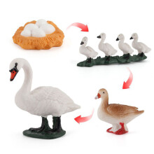 (Swan)Simulation Solid Turtle Chick Frog Animal Growth Cycle Montessori Teaching Aids