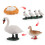 (Swan)Simulation Solid Turtle Chick Frog Animal Growth Cycle Montessori Teaching Aids 1
