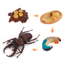 (Deer Antlers1)Simulation Solid Turtle Chick Frog Animal Growth Cycle Montessori Teaching Aids