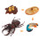 (Deer Antlers1)Simulation Solid Turtle Chick Frog Animal Growth Cycle Montessori Teaching Aids 1