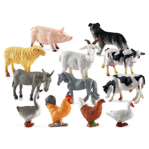 (Domestic)Simulation Solid Turtle Chick Frog Animal Growth Cycle Montessori Teaching Aids