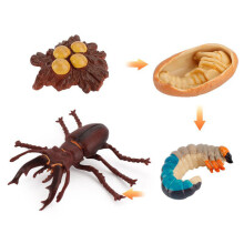 (Deer Antlers2)Simulation Solid Turtle Chick Frog Animal Growth Cycle Montessori Teaching Aids