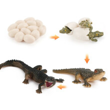 (Crocodile2)Simulation Solid Turtle Chick Frog Animal Growth Cycle Montessori Teaching Aids