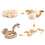 (Cobra)Simulation Solid Turtle Chick Frog Animal Growth Cycle Montessori Teaching Aids 1