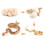 (Sand Mangabey)Simulation Solid Turtle Chick Frog Animal Growth Cycle Montessori Teaching Aids 1