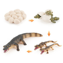 (Crocodile1)Simulation Solid Turtle Chick Frog Animal Growth Cycle Montessori Teaching Aids