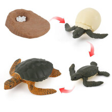 (Sea Turtle3)Simulation Solid Turtle Chick Frog Animal Growth Cycle Montessori Teaching Aids