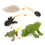 (Frog)Simulation Solid Turtle Chick Frog Animal Growth Cycle Montessori Teaching Aids 1