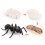 (Earthworms)Simulation Solid Turtle Chick Frog Animal Growth Cycle Montessori Teaching Aids 7