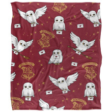 (36in x 58in, Multicoloured) Harry Potter Letter Hedwig Blanket
