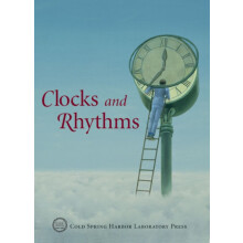 Clocks and Rhythms Paperback Book