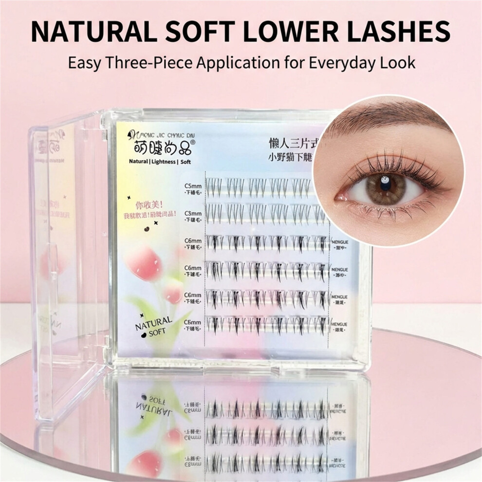 Dachuang Beauty Natural Look False Eyelashes - Wide Band
