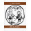 A Zen Forest Zen Sayings Paperback Book 1