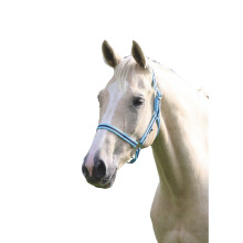 (Small Pony, Cambridge/Navy) Wessex Horse Headcollar