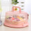 Versatile Plastic Cake Storage Container with Secure Lockable Lid for Parties, Picnics, and More 5