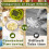 Garlic Press, Garlic Masher with Peeler and Cleaning Brush, Chopper  Kitchen Tools 2-Pack 5