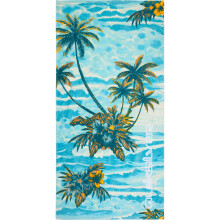 (One Size, Aqua Holmes) Quiksilver Mens Freshness Towel Beach Towel