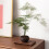Retro Wooden Tray,Rectangular Desktop Display Rack for Home & Hotel, Coffee Table Decorative Plate, Thick Design 8