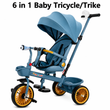 Kids Tricycle Push Bike with Canopy Toddler Blue