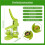 Button Maker Machine, 58mm Installation-Free DIY Pin Button Maker Press Machine Kit Easy to Operate 6
