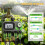 4 Zone Garden Watering Timer Rain Delay Hose Faucet Timer IP54 Waterproof Automatic Sprinkler Irrigation Controller 3
