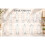 (65cm, Wide Cylinder) Tall Glass Flower Vase Display 10