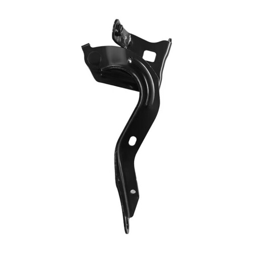 5341002510 5342002510 Cerniera del Cofano per   2019-