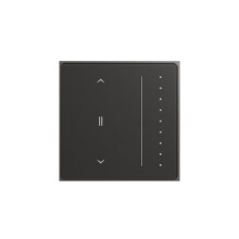 Interruptor de Cortina Inteligente Tuya Zigbee, Panel Táctil Antirreflejo con Retroiluminación Fluida, Panel Táctil para Cortina, UE B