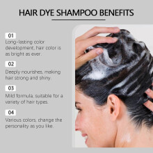 (Black) Hair Instant Dye Shampoo, Hair Instant Dye Shampoo for Men & Women, Hair Color Shampoo for Gray Hair