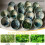 Resin Herbs Separating Bowl Ceramic Herbs Separator Handmade Herbs Separator Handmade Herbs Separating Tool A 6