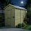 5 x 14 Apex Shed Tanalised (Single Door, No Windows) 3