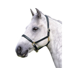 (Cob, Black) Blenheim Ragley Leather Horse Headcollar