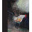 A Kurt Jackson Bestiary by Kurt Jackson Hardcover Book 1