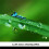 2 Functions Mobile Phone Lens 0.45x Ultra-Wide Angle Lens for  Android Phone Smartphone 4