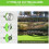 21V Cordless Grass Strimmer 2 Batteries 6