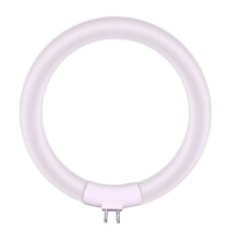 12W Fluorescent Ring Lamp 120mm T4 Tube for Small Desk Lamp/ Magnifier Ring Light