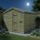 8 x 12 Apex Shed Tanalised (Single Door, No Windows) 3