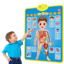 Tableau Mural Interactif de L'Alphabet - Jouet Éducatif pour la Maternelle, Favorise le Langage et Renforce les Liens Familiaux C