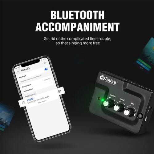 DEBRA PROFESSIONAL AUDIO Live Broadcast Sound Card Echo Audio Mixer Interface External with  for Microphone Musical 2