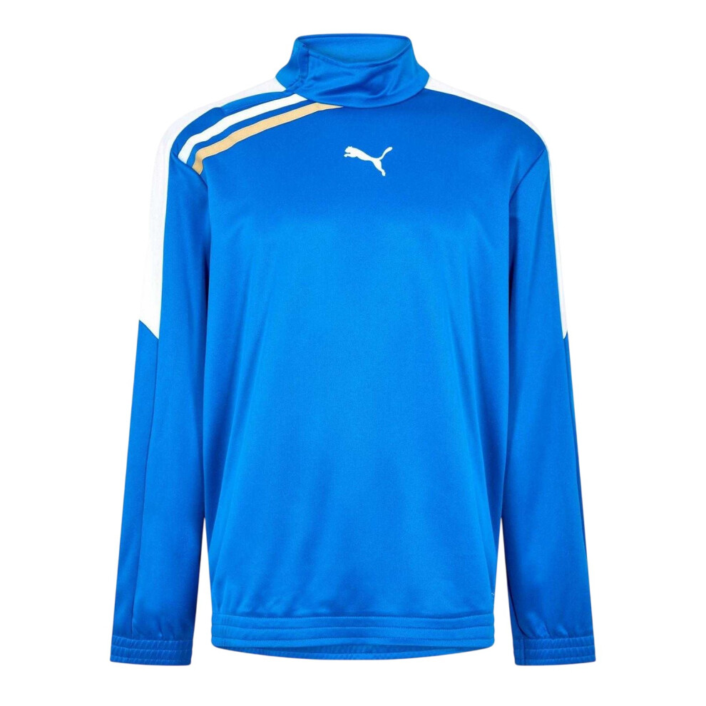 Puma (L, Blue) Mens Performance Half Zip Training Track Jacket