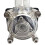 Peristaltic Pump 500ml/Min - High-Efficiency, Electric Power, Ideal for Various Fluids Single Pump 6