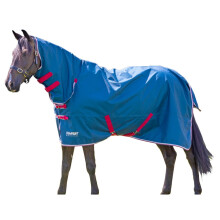 (5' 3", Teal) Tempest Original Lite Combo Neck Horse Turnout Rug