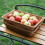 Handmade Rattans Work Storage Trays Fruit Vegetables Bread Baskets Restaurant Serving Tabletop Display Baskets 3