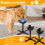 Adjustable Elevated Dog Feeder Stand for All Breeds - Optimal Feeding Height & Angle 6