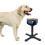 Adjustable Elevated Dog Feeder Stand for All Breeds - Optimal Feeding Height & Angle 7